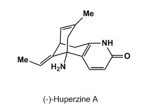 Huperzine-A Pre-Workout Supplements